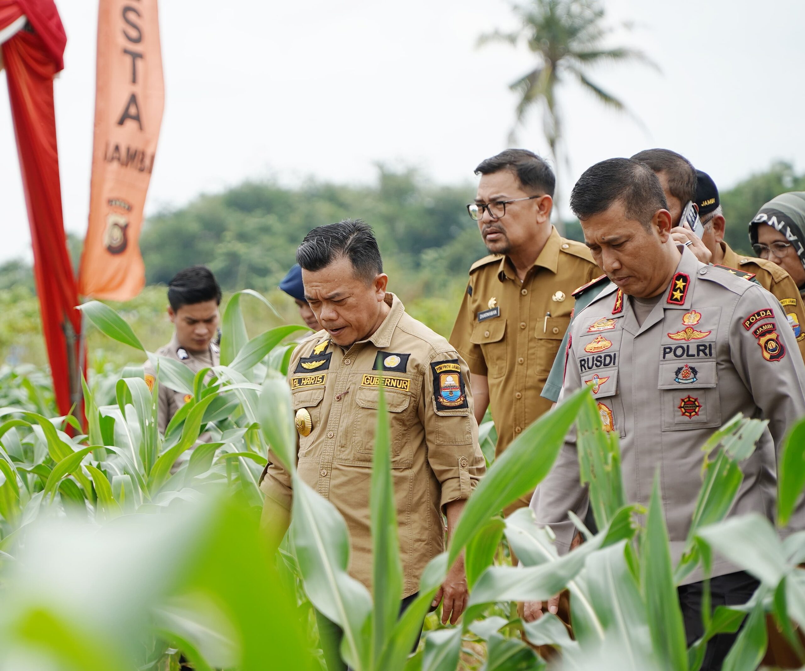 Gubernur Al Haris, Kapolda, Danrem 042 Gapu dan Forkopimda Lakukan Penanaman Bibit Jagung Dukung Swasembada