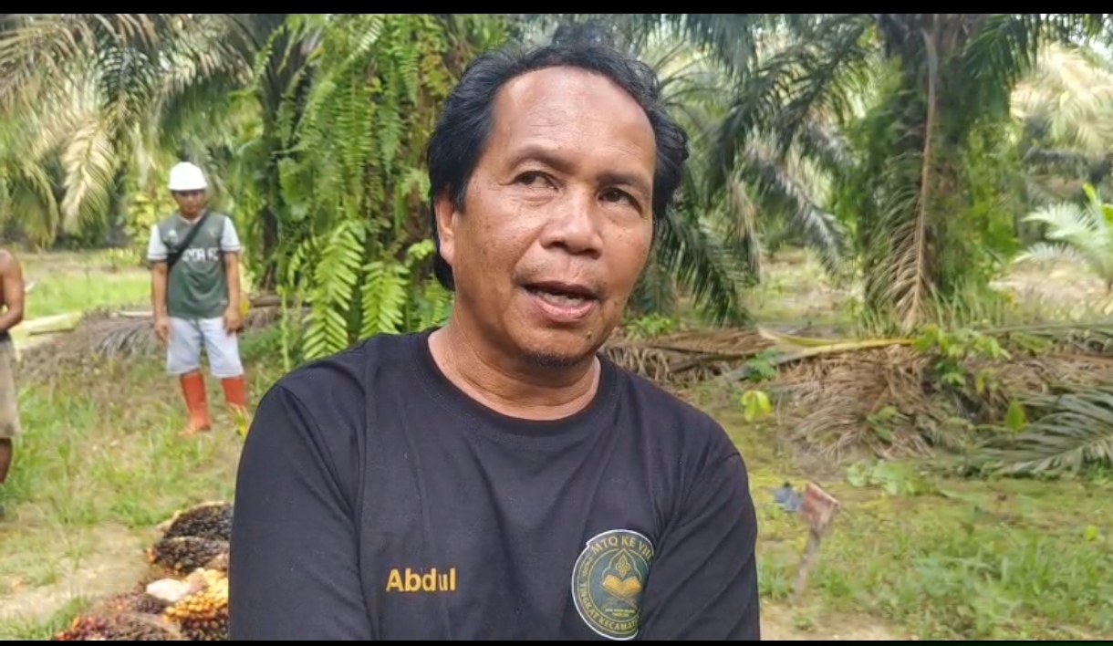 Oknum ASN Kabupaten Tebo dituding Jadi Kaki Tangan PT.Tebo Alam Lestari